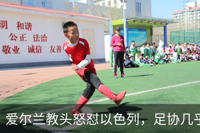 爱尔兰教头怒怼以色列，足协几乎要按响投诉警报！